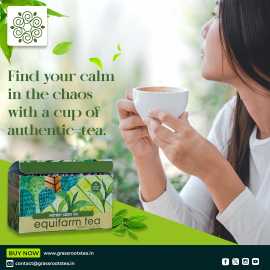 Get Rich Antioxidants with Premium Green Tea , New Delhi