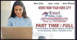 Part Time Home Based Data Entry Typing Jobs , $ 17,500, Kakinada