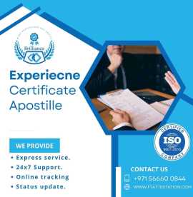 Professional Experience Certificate Apostille , Dubai