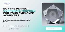Buy the Perfect Corporate Trophies for Your Employ, $ 