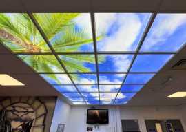 Choose the Best Sky Ceiling Panels for Workspaces, Northville
