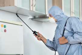 Get Reliable Pest Control Services in Coomera, Coomera