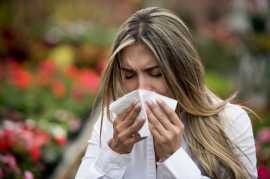 Natural Treatment for Respiratory Allergies, Jaipur