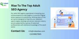 Best Mobile Apps Services For Adult Website SEO, Houston
