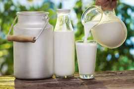 Buy Pure A2 Milk from Desi Gir Cows in Vadodara - , $ 0