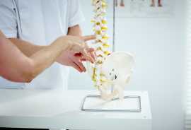 Expert Chiropractor Services in Edithvale, Aspendale