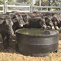 Plastic Water Troughs for Sale - FSP’s Livestock S, ps 1