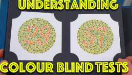 Colour blindness tests - Sonac Sight Care, New Delhi