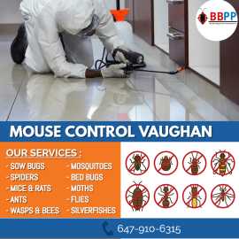 B.B.P.P. Effective Mice Control Vaughan , Vaughan