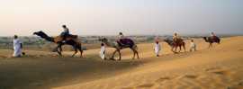 Best Camel safari in Jaisalmer, Jaisalmer