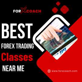 Best Forex Trading Classes Near Me, Mandi