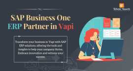 Transform Your Vapi Business  with ERP Software, Vapi