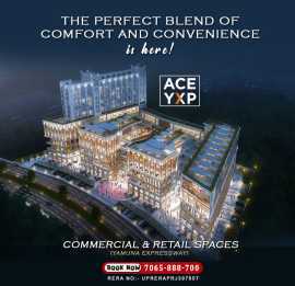 Ace YXP Unleash Your Business Potential 7065888700, Noida