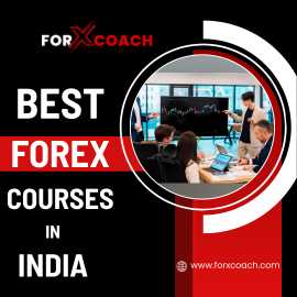 Best Forex Courses In India, Mandi