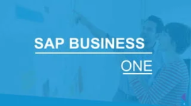 Leading SAP Solutions Company in India, Noida
