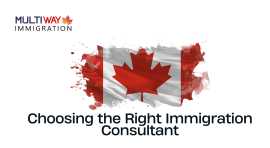  Tips for Picking the Best Immigration Consultant , Edmonton