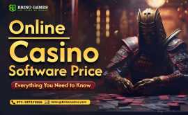 Brino Casino - Virtual Casino Game Provider, Texas City