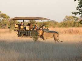 Safari Adventures with Ngasini Travel Experience, Arusha