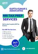 NRI Tax Services for NRIs from NRI Taxation Bharat, Delhi