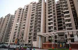 Flats for sale in Gaur City Noida Extension | Gaur, Noida