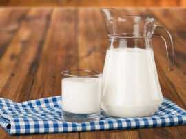Get Fresh and Pure Gir Cow Milk at Affordable Pric, Vadodara