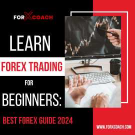 Learn Forex Trading For Beginner: Best Forex Guids, Mandi