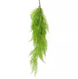 Hanging Plants to Beautify Your Space Effortlessly, $ 139