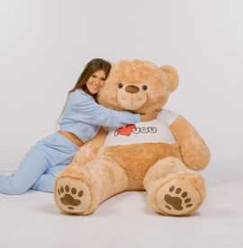 Find Cute Get  Well Teddy Bear Online, $ 150