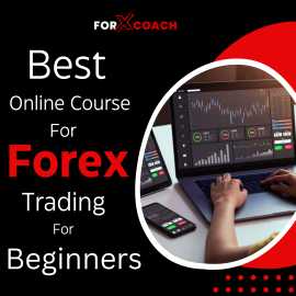 Best Online Course For Forex Trading For Beginners, Mandi