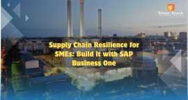 Best SAP ERP Software for Supply Chain Resilience, Ahmedabad