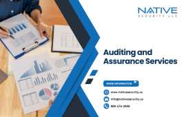 Professional Assurance and Auditing, San Diego