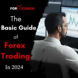 The Basic Guide of Forex Trading in 2024, Mandi