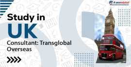 Expert UK Study Consultants: Transglobal Overseas , Delhi