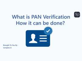 What Is PAN Card Verification? How It Can Be Done, Delhi