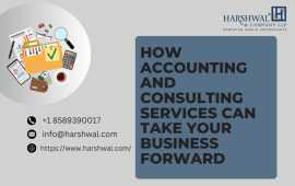 Expert Accounting and Consulting Firm Services, San Diego