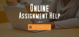 How Management Assignment Help Simplifies Concepts, New York