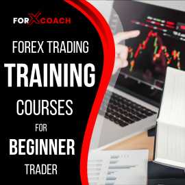 Forex Trading Training Courses For Beginner Trader, Mandi