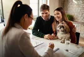 Pet Insurance Plan: What You Need to Know Before S, Chicago