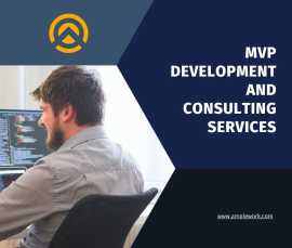 MVP Development Company & Consultant Services , Los Angeles