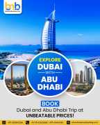 11 Best Things To Do in Abu Dhabi, Dubai