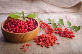 How to Incorporate Barberries into Your Daily Diet, Brunswick