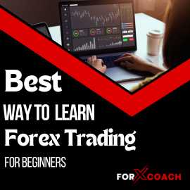 Best Way To Learn Forex Trading For Beginners, Mandi
