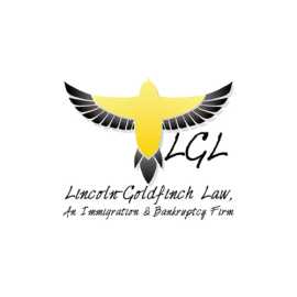 Lincoln-Goldfinch Law , Austin