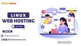Comprehensive Guide to Linux Web Hosting Features , Ghaziabad