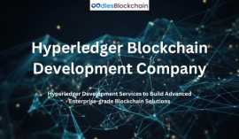 Hyperledger Development Company|Oodles Blockchain, Sheridan