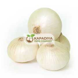 Onion Manufacturer, Supplier and Exporter India , Mahuva