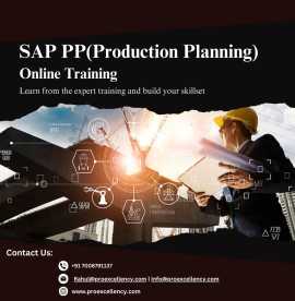 Streamline Operations with SAP PP Online Training, Bengaluru