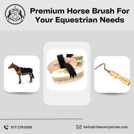 Premium Horse Brush | Ride Every Stride, Rockwood