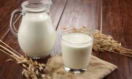 Ahmedabad's Finest Gir Cow Milk: Pure, Nutritious, Rajkot