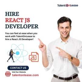 Hire React JS Developer, Noida